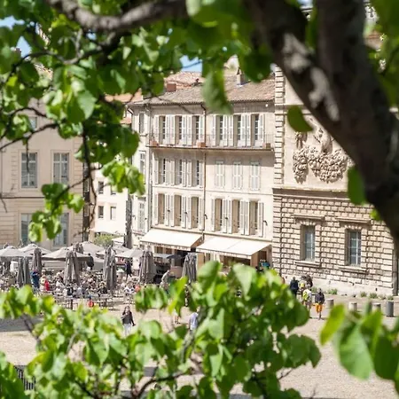 Bien D'exception En Face Du Palais Des Papes * Avignon